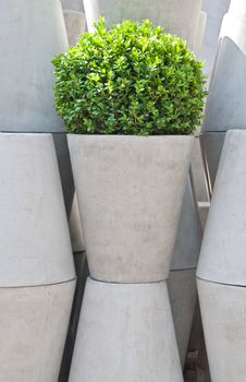 Stacked flower pots and green plant growing in one of them.