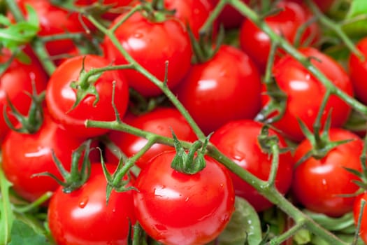 Background of Ripe Cherry Tomatoes, closeup