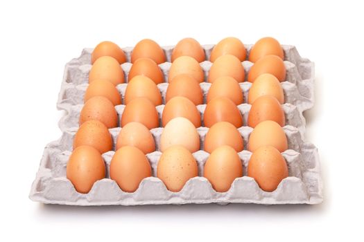 Fresh Brown Eggs in Carton, on white background 