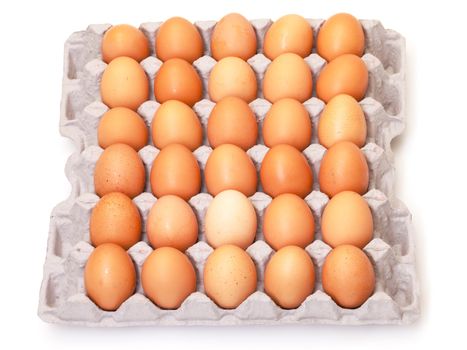 Fresh Brown Eggs in Carton, on white background