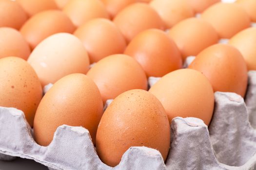 Fresh Brown Eggs in Carton, closeup