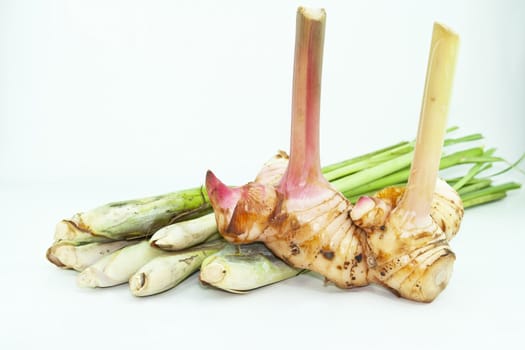 galangal and Lemon Grass on white background