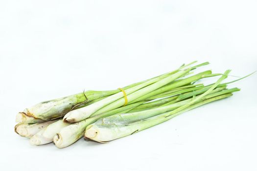 Lemon Grass. Fresh Lemon Grass on background