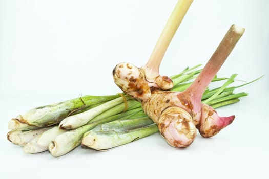 galangal and Lemon Grass on white background