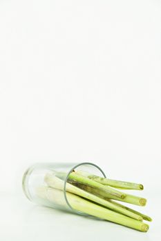 Lemon Grass. Fresh Lemon Grass on background