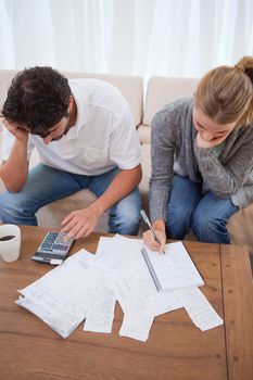 Portrait of a couple doing their accounting in their living room