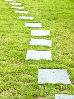 Walk path in the park with green grass background