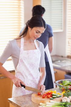 Portrait of a woman chopping pepper while her fiance is washing dishes in their kitchen