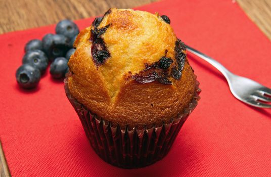 Home made chocolate chip muffin with blueberry