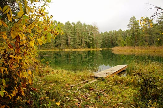 The small wooden bridge on a forests pond