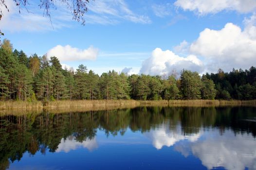 Lake and trees on a background of the blue sky