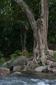 lampraya waterfall in yala, thailand