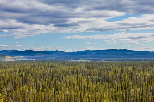 Boreal forest of central Yukon Territory, Canada, with Ogilvie Mountains range in the distance on the horizon