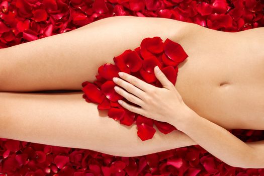 Beautiful body of woman against petals of red roses. Heart shape made out of rose petals