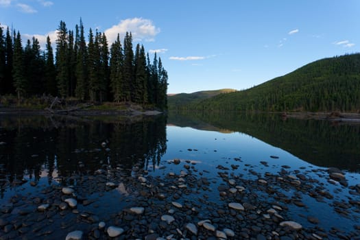 Boreal forest reflected on calm water surface of Steward River, central Yukon Territory, Canada, near eown of Mayo forming a beautiful northern riverscape.