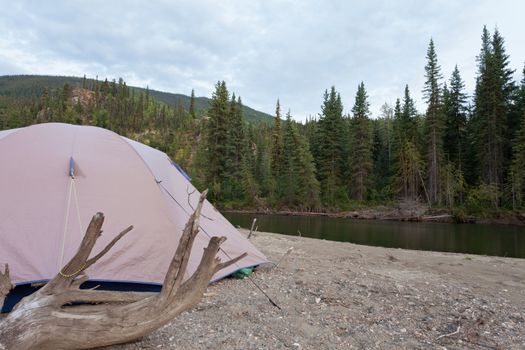 Tent pitched on a sand bar alongside McQuesten River, Yukon Territory, Canada, in remote boreal forest wilderness