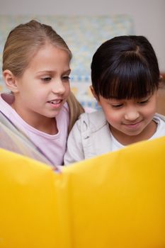 Portrait of cute schoolgirls reading in a classroom