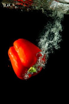 Colored red paprika in water splashes on black background