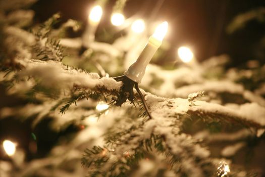 xmastree at night with snow and electric candles, very shallow DOF!............