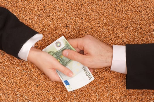 The businessman pays delivery of wheat by euro