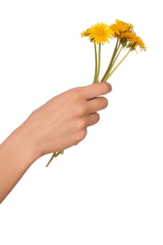 a few yellow dandelions in the woman's hand