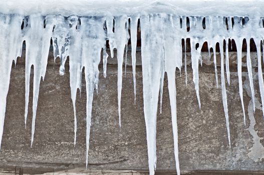 The big white icicles during cold winter