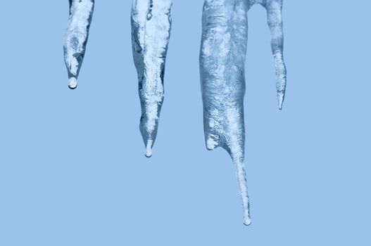 Thawing icicles of a blue shade with water droplets