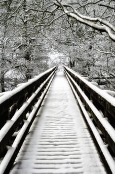 Snowcovered empty walkway and bare branched deciduous trees on a cold winter day at Nidd Gorge, United Kingdom