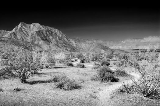 Hellhole Canyon in Black and White at Anza-Borrego Desert