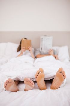 Portrait of woman reading a book while her companion is reading the news in their bedroom
