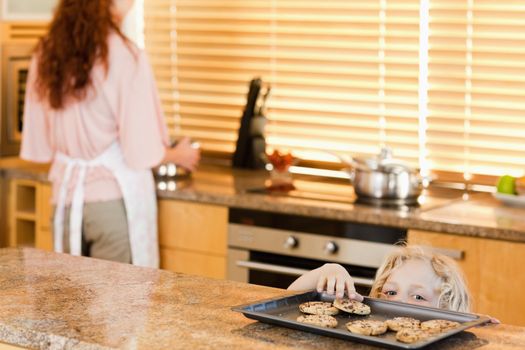 Cheeky boy sneaking up to cookies
