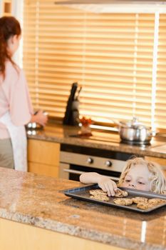 Sneaky boy stealing cookies from the kitchen counter