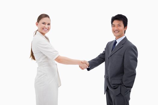 Two business people shaking hands against a white background