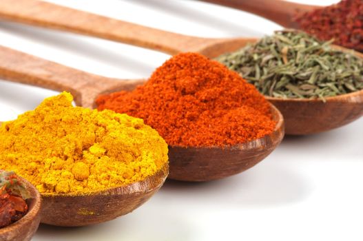 Spices with Curry Powder, Oregano and Paprika closeup