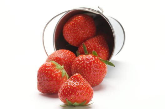 Ripe Strawberry Scattered from Tin Bucket isolated on white background