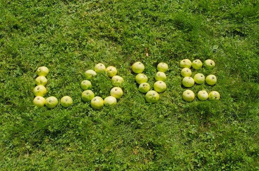 Word love made of green apple on garden lawn.