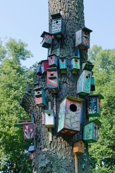 Colorful bird houses nest box hang on old big tree trunk.