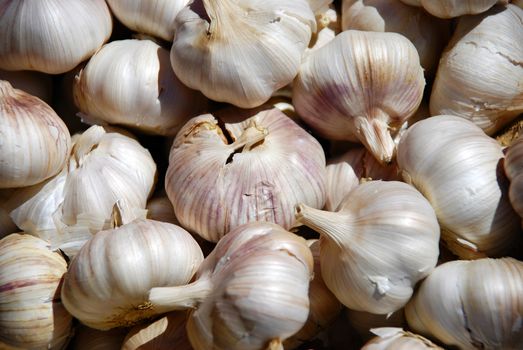 A pile of garlic