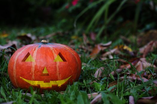 Creepy carved pumpkin face, with a smile, in park