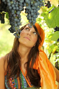 Beautiful girl dressed gypsy style looking at grapefruits in a vineyard