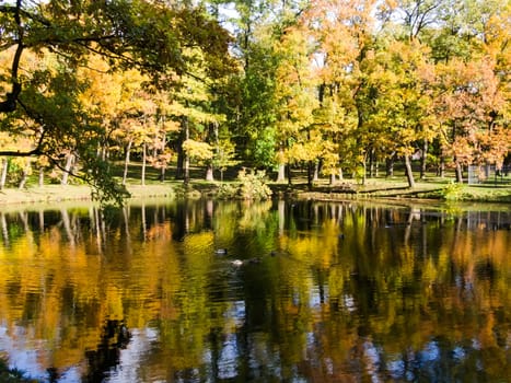 golden autumn autumn landscape reflected in water