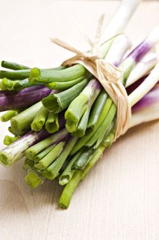 a Bundle of fresh organic chives