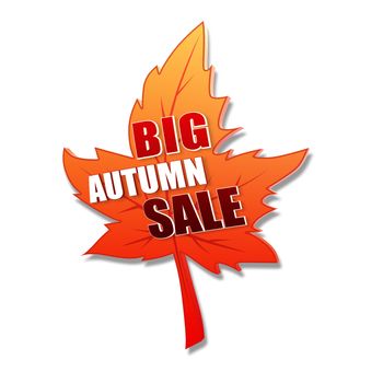 big autumn sale - text in 3d orange leaf
