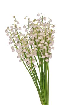 big fragrant bouquet lily of the valley