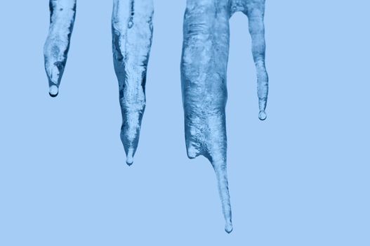 Thawing icicles of a blue shade with water droplets