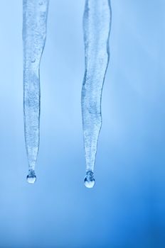 Thawing two icicles of a blue shade with water droplets
