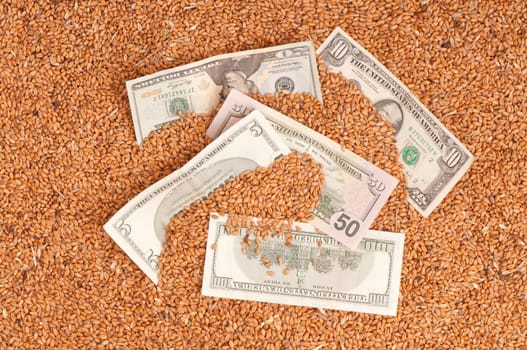 Monetary crop as a symbol of success of sale of a new crop of wheat