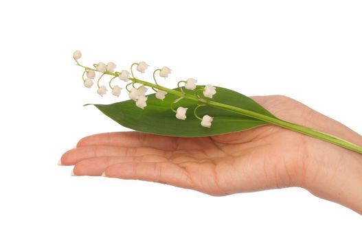 Woman holding lily of the valley in the hand