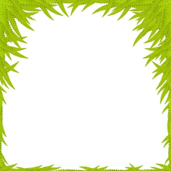 Green Leaf Background, space for text