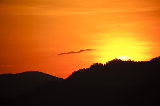 Silhouette sunshine nature sunset tree